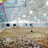 Full Set Poultry Control Shed Equipment for Broiler