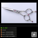 Top High Quality Hairdressing Scissors (LK-60 TC-010)