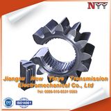 Involute Spur Gear