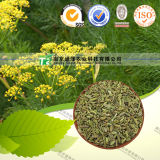 Natural Herbal Medicine Raw Material Fructus Foeniculum