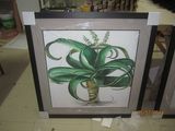 Framed Print Plant (MG1002)