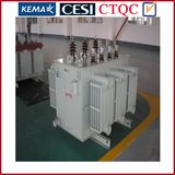 242kv 40mva Three Phase Two Winding No-Load-Tap-Changing Power Transformer
