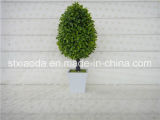 Artificial Plastic Potted Flower (XD14-240)