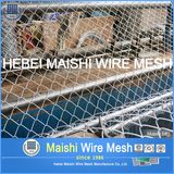 Good Quality Chain Link Fence/Netting