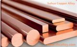 Beryllium Copper Alloy Uns C17200