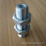 Pipe Bolt with Thin Hex Nut
