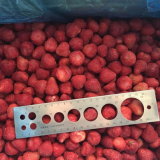 Chinese New Crop of Strawberry A13 of Frozen