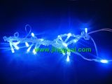 Holiday LED Light String