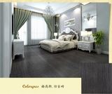 600X600mm Ceramic Floor Tile/ Home Decoration