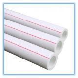 Pure-Plastic PPR Tube with Dn110mm