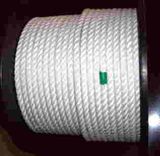 Twisted Rope