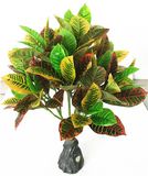 Indoor/ Outdoor Gold Artificial Ficus Tree Ficus Bonsai 565 a