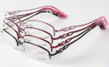 Stock Frames for Lady Eyewear, Spectacles (1535)