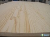 Pine Face and Back Commercial Plywood