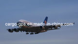 Perishable Cargo From China to Taipei (321/320)