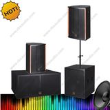 Ds-218b Professional DJ Karaoke Stage Speaker with MP3