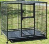 Stable Tube Pet Cage for Pet Product (D1020)