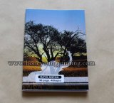 White Card A4 Competitive Price Notebook
