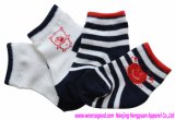 Baby Socks (HYSYP112204)