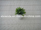 Artificial Plastic Grass Bonsai (XD14-16)