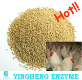 Yingheng Enzyme for Broiler (AC2011)