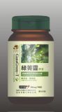 Ganogreen-T Capsules (Extract of ganoderma lucidum&Green tea)