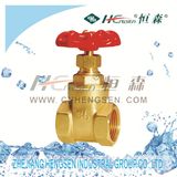 Brass Flood Gate Valve/Brass Fitting