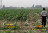 Soil Conditioner for Acid Land