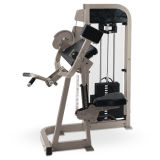 Biceps Curl/Gym Equipment/Exercise Equipment