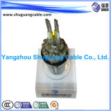 Al Overall Screened/XLPE Insulated/PVC Sheathed/Computer/Instrument Cable