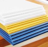 PP Hollow Board/ Corrugated Materials/PP Hollow Grid Board/PP Board