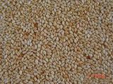 Roasted Hulled Sesame Seedsd