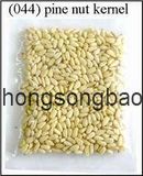 Pine Nut Kernels (027)