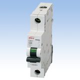 Mini Circuit Breaker CXB17-63(AEG)