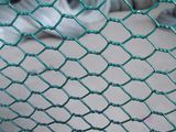 Hexagonal Wire Mesh