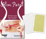 Slim Patch