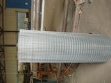Galvanized Wire Mesh