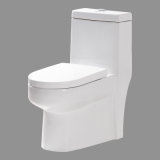 Toilet (P-2258)