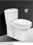 Washdown Two-Piece Toilet (PO2116)