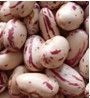 Speckled Kidney Beans (003)