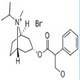 Ipratropium Bromide CAS 22254-24-6