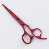 085-Tfl Chinese Wholesale Beauty School Kits, High Quality Hairdressing Scissor
