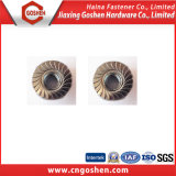 Stainless Steel Hexagon Flange Nuts DIN6923