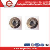 Stainless Steel Hexagon Flange Nuts DIN6923