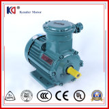 Explosion-Proof Three Phase Induction Electric Motor