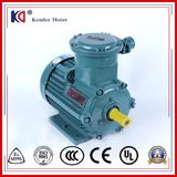 Explosion-Proof Three Phase Induction Electric Motor