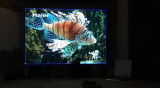P10 Indoor Full Color LED Video Display