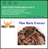High Quality Natural Supply Pine Bark Extract