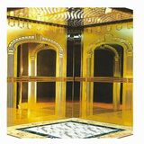 Poseidon Passenger Elevator