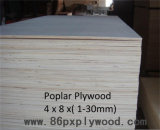 Poplar Plywood Full Poplar Plywood From China Factory -Plywood